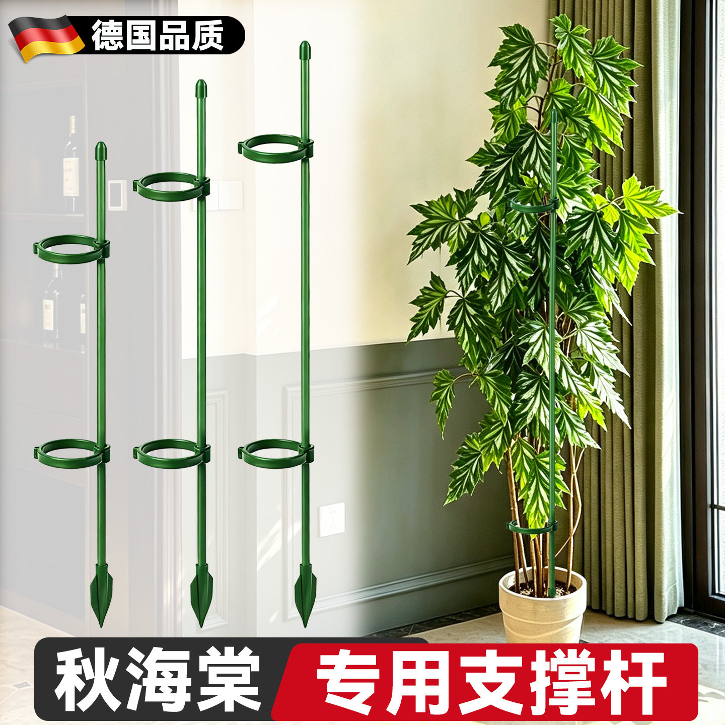 秋海棠支撑杆花支架造型花架支架图片