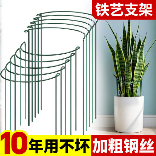 铁艺半圆护叶花架防倒伏聚拢