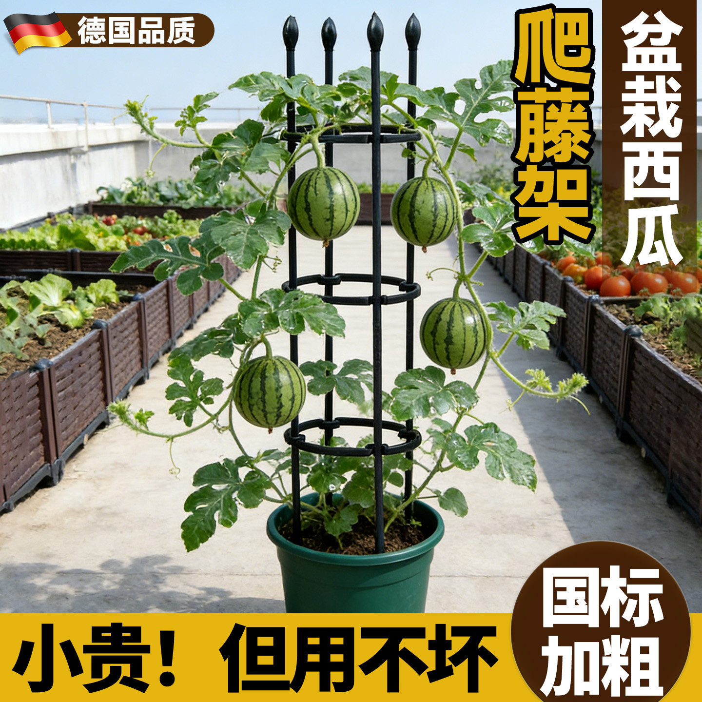 西瓜支架子种菜爬藤架菜园支撑杆图片