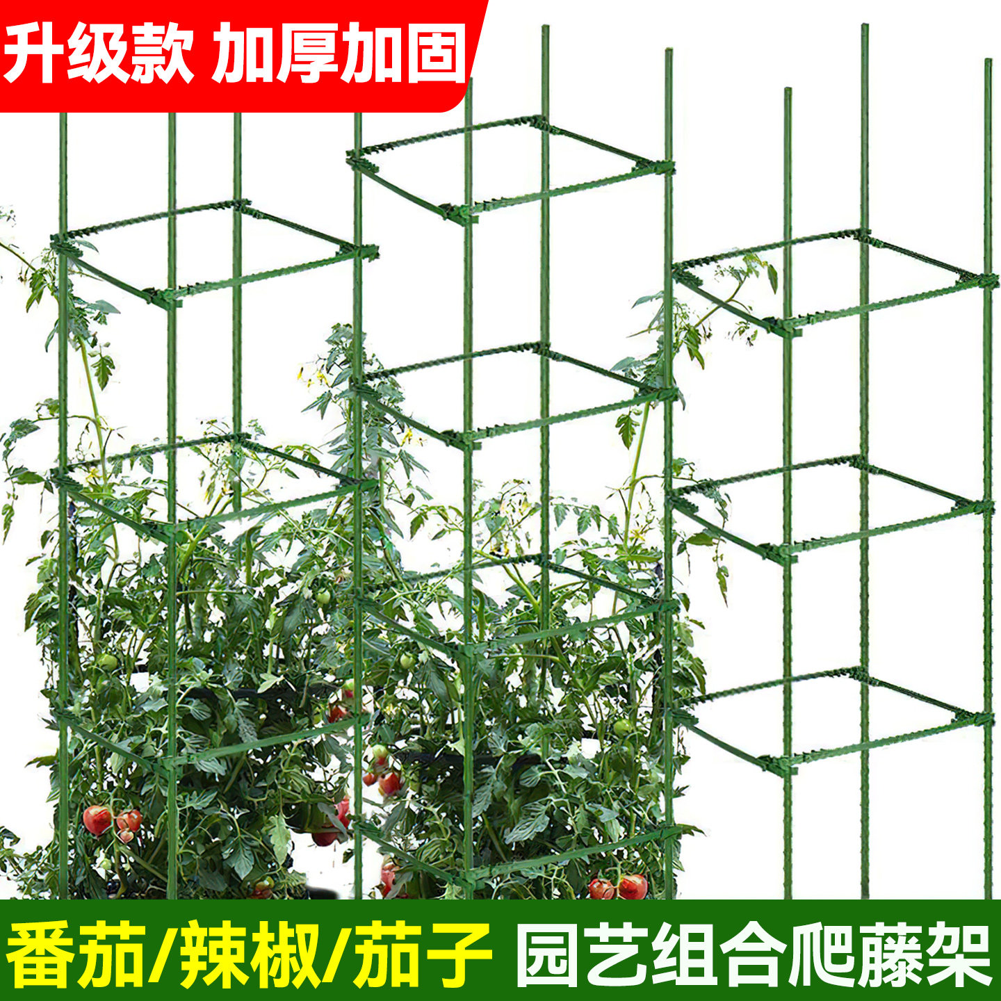 西红柿架番茄阳台种植支架图片
