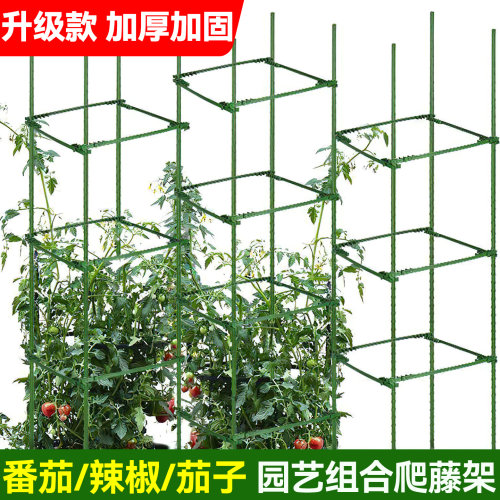 西红柿架番茄阳台种植支架
