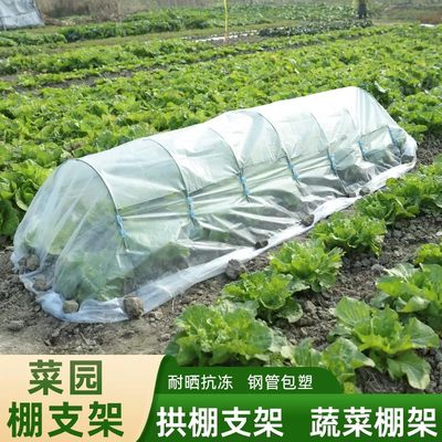 阳台暖房多肉花卉蔬菜保温挡雨大棚包塑钢管支架可搭配遮阳防虫网