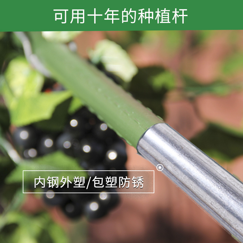 园艺支架包塑钢管种菜架子花架爬藤支撑植物杆户外豆角黄瓜葡萄架