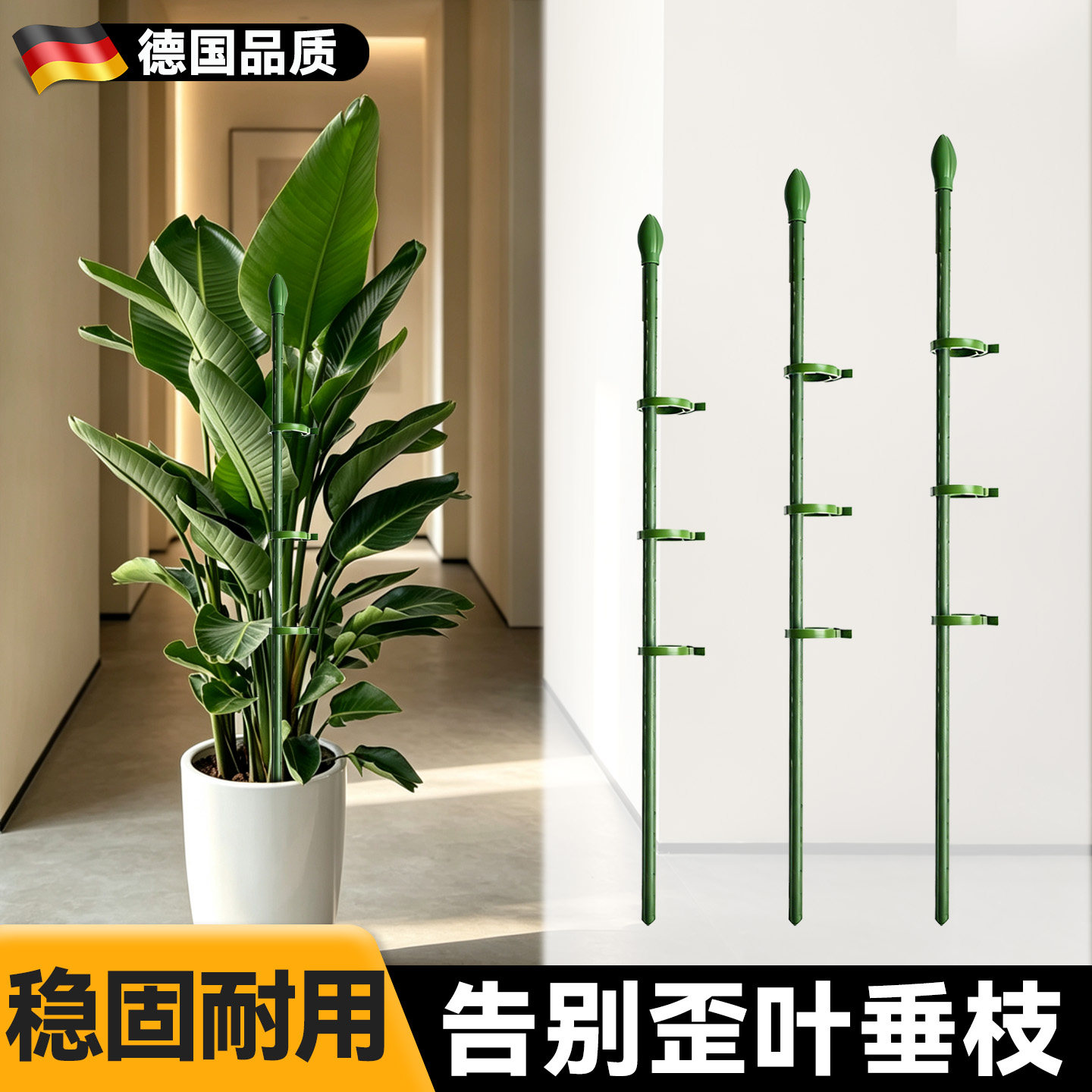 天堂鸟支撑杆植物支架固定支撑架爬藤架杆花托支架龟背竹绿植专用图片