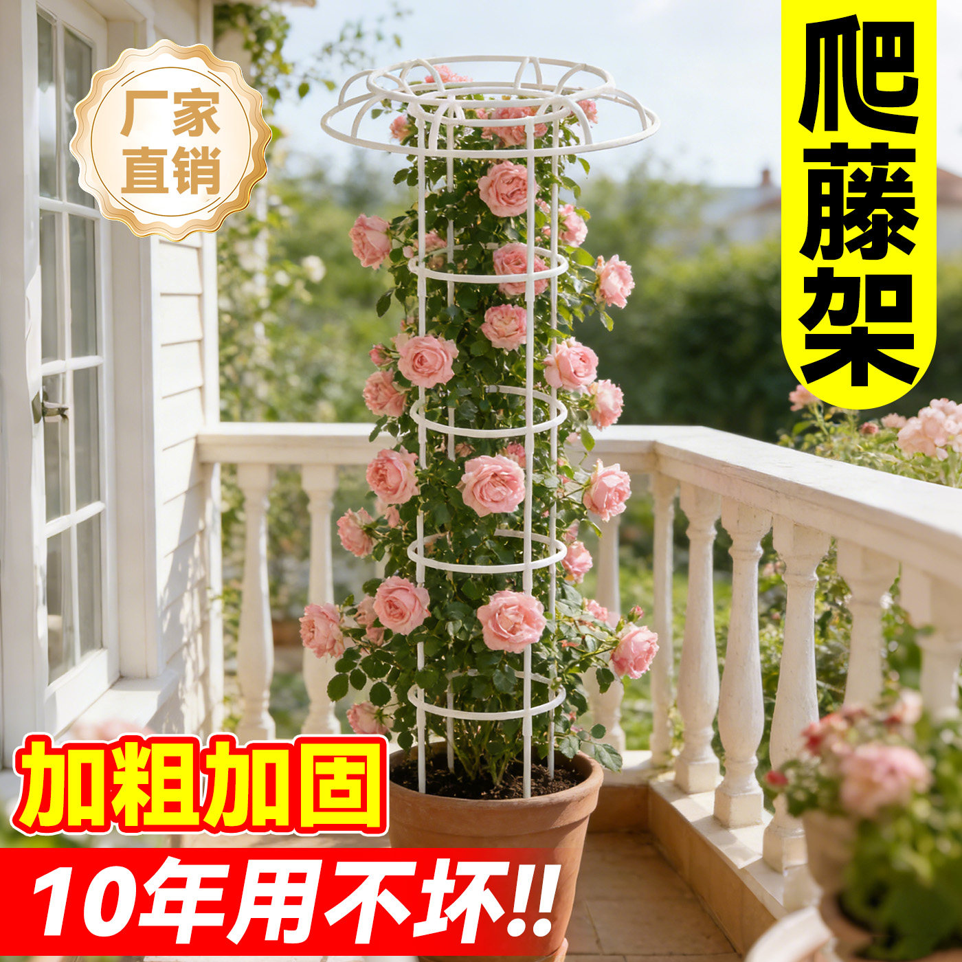 户外伞形玫瑰爬藤架月季铁线莲攀藤蔷薇花苗四季花架植物园艺支架
