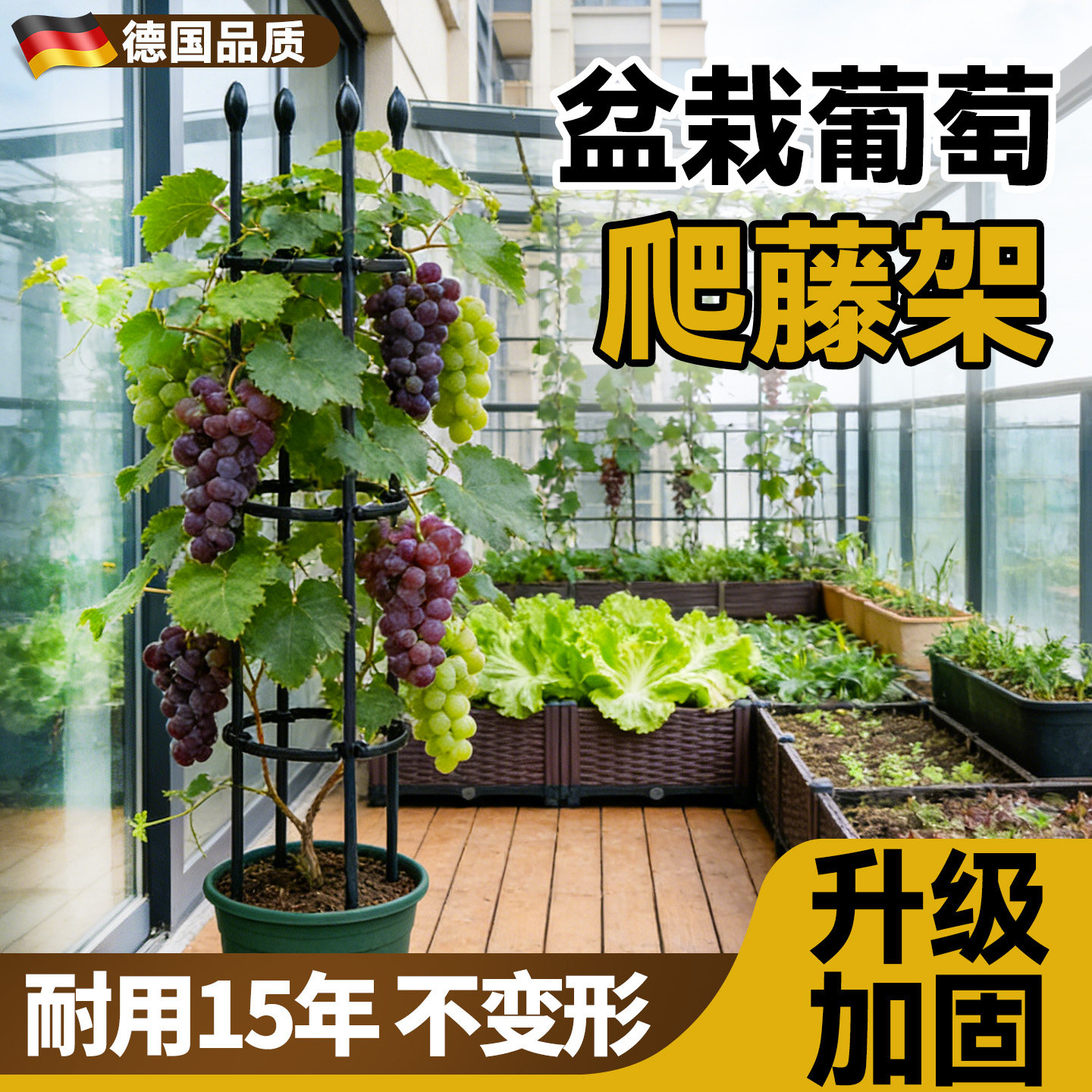 葡萄爬藤架种菜爬藤架菜园支撑杆图片