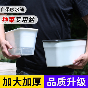 牧狼人草莓专用盆阳台种菜神器家用透明种植盆长方形懒人自吸水盆