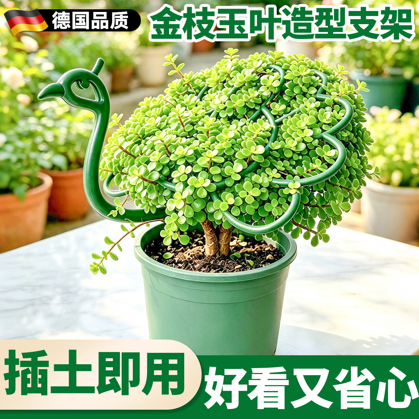 金枝玉叶定型架花架支撑杆支撑架图片