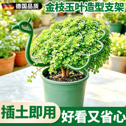 金枝玉叶定型架花架支撑杆支撑架
