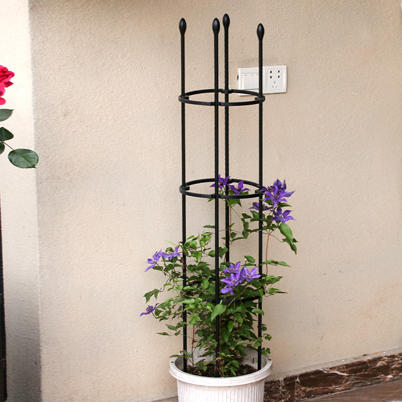 花架爬藤架月季室内绿植攀爬植物