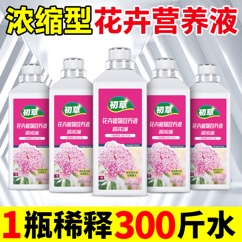 通用型营养液多肉水培养花卉绿植