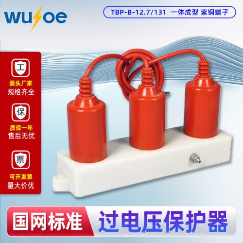 10KV三相组合式过电压保护器