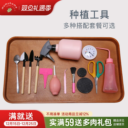 云南直发盆栽套装花卉多肉植物