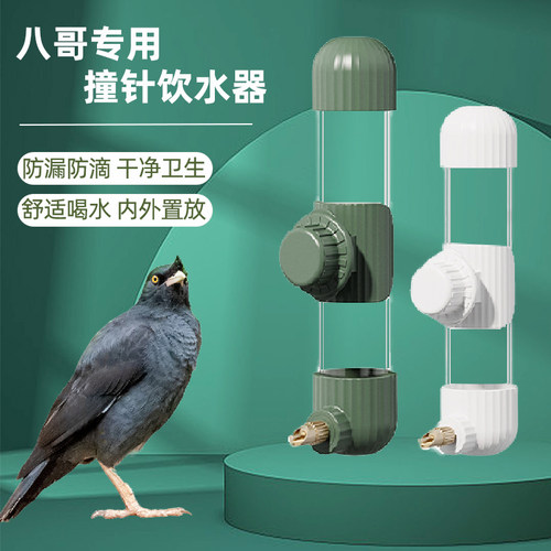 八哥专用饮水器自动喂水小鸟用喝水神器绣眼鹦鹉撞针水壶用品大全