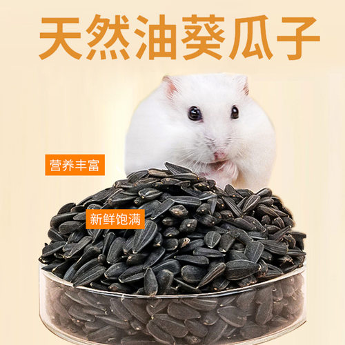 仓鼠粮食金丝熊粮食营养零食主粮冻干自配饲料磨牙零食鼠粮小瓜子