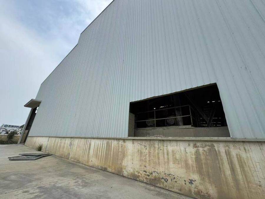 5月19日绵阳市工业园区的工业用地土地、建构筑物、机器设备、苗木网络拍卖公告