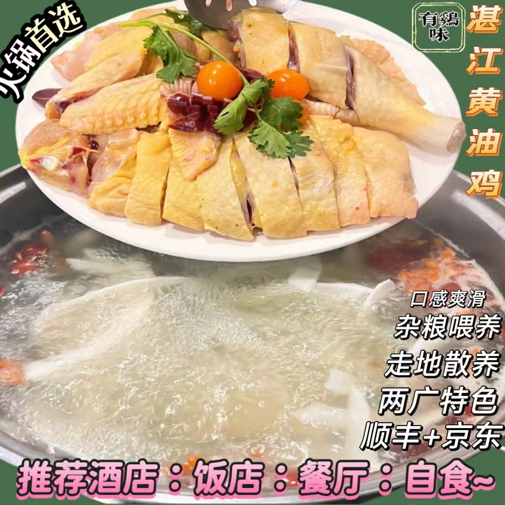 椰子鸡火锅鸡农家散养土鸡走地鸡老母鸡土鸡农村散养土鸡老母鸡