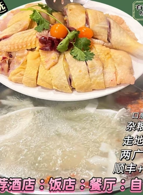 广东白切鸡安铺走地鸡农村散养土鸡湛江鸡黄油土鸡火锅鸡老母鸡