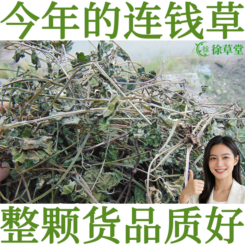 徐草堂连钱草透骨消中药材铜钱草金钱草金钱薄荷落地金钱今年新货