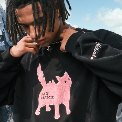 Nuthink美式潮牌猫咪刺绣卫衣男