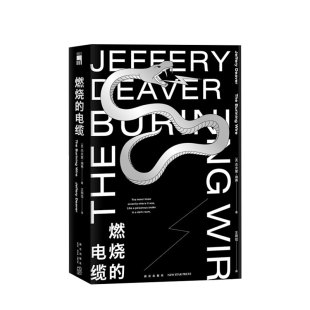 电缆 译 杰夫里迪弗 王雨佳 外国推理小说 著 燃烧