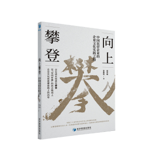 中国民营企业 企业管理与培训 企业文化实践之路 著 经管书籍 段传敏 向上攀登