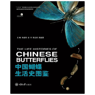 中国蝴蝶生活史图鉴 朱建青等 著 生物世界