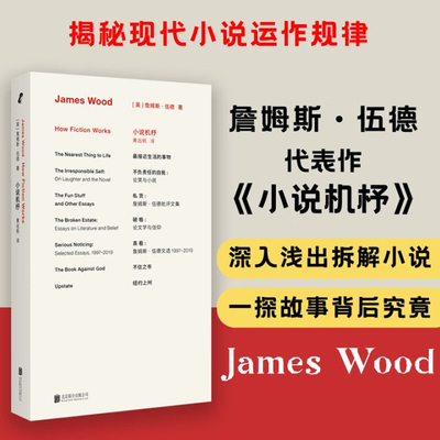小说机杼 詹姆斯·伍德 著 黄远帆译 揭秘现代小说运作规律 文学阅读入门 文学 批评家詹姆斯伍德代表作 文学