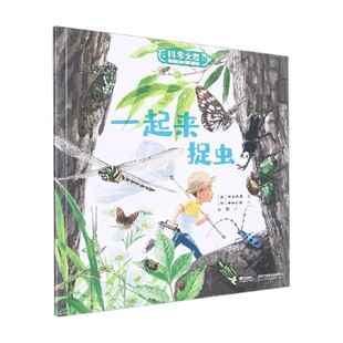 儿童绘本 著 一起来捉虫 井上大成