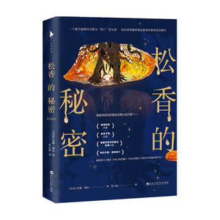 荣获四项北欧犯罪小说大奖 安妮瑞尔著 心理惊悚悬疑小说书籍 秘密 松香