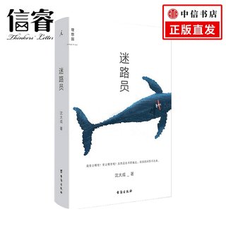 迷路员 沈大成 著 中国现当代文学短篇小说集 2021新作 苏童 唐诺推荐 小行星掉在下午