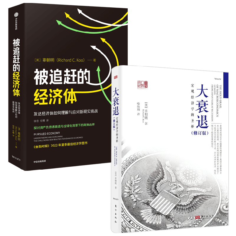 被追赶的经济体+大衰退 辜朝明 著 经济学理论