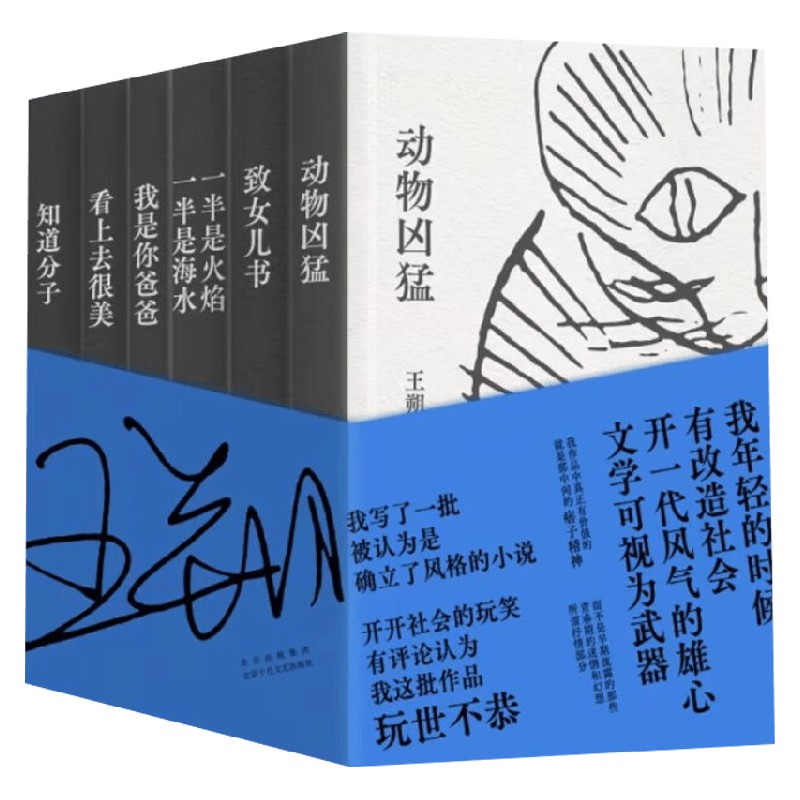王朔经典作品集王朔小说