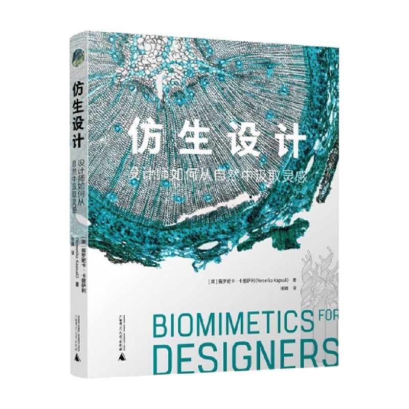 仿生设计薇罗妮卡·卡普萨利