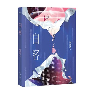白客 郑渊洁 著 小说