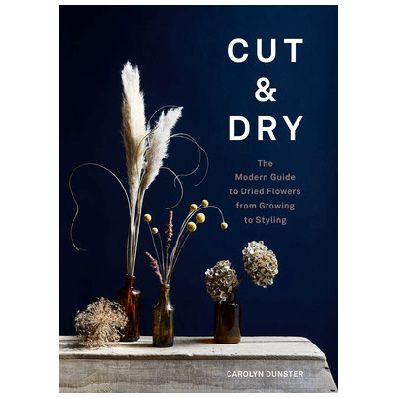 英文原版 Cut&Dry 干花室内装饰艺术 干花制作布置指南
