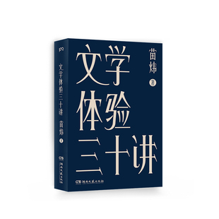 文学体验三十讲 文学研究书籍 苗炜著