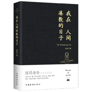 我在人间凑数的日子 段段 著 文学