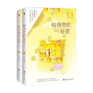 著 耳东兔子 青春文学 秘密 暗格里