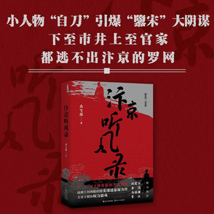 小说 著 汴京听风录 南飞雁