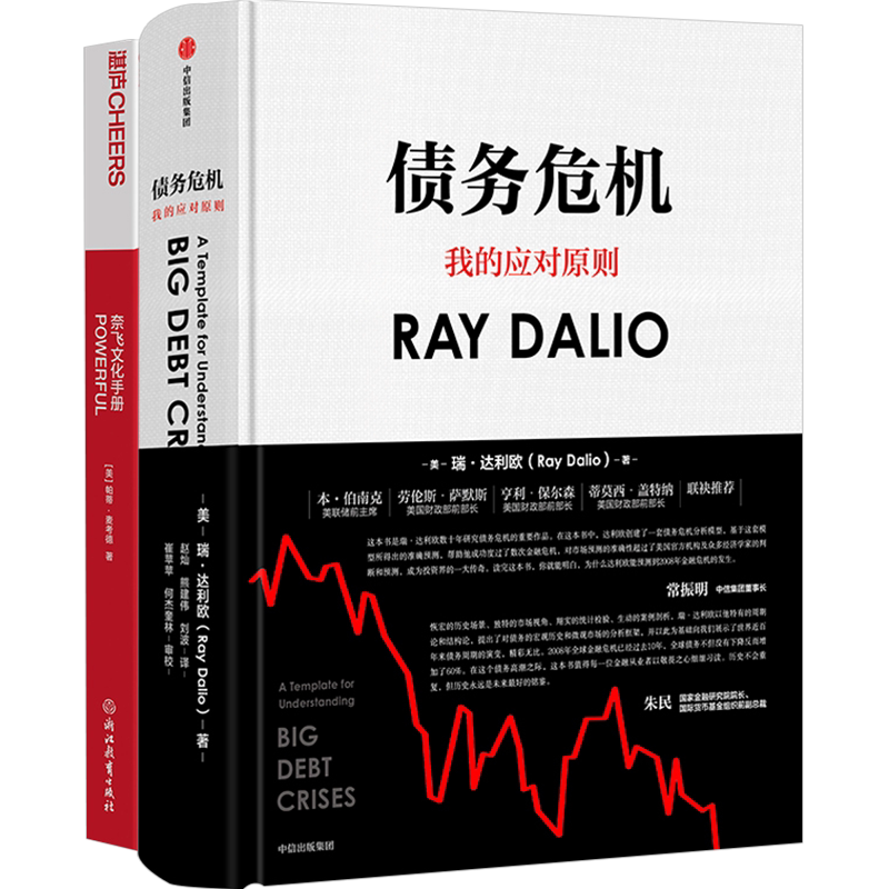 正版 债务危机+奈飞文化手册 套装2册 大企业从内教你应对企业危机,塑造企业文化 打造企业壁垒 中信出版社商业经管书籍