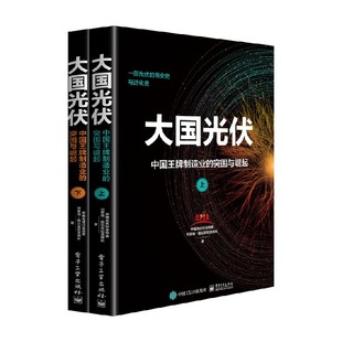 上 突围与崛起 下 中国光伏行业协会 经济 大国光伏 著 中国王牌制造业