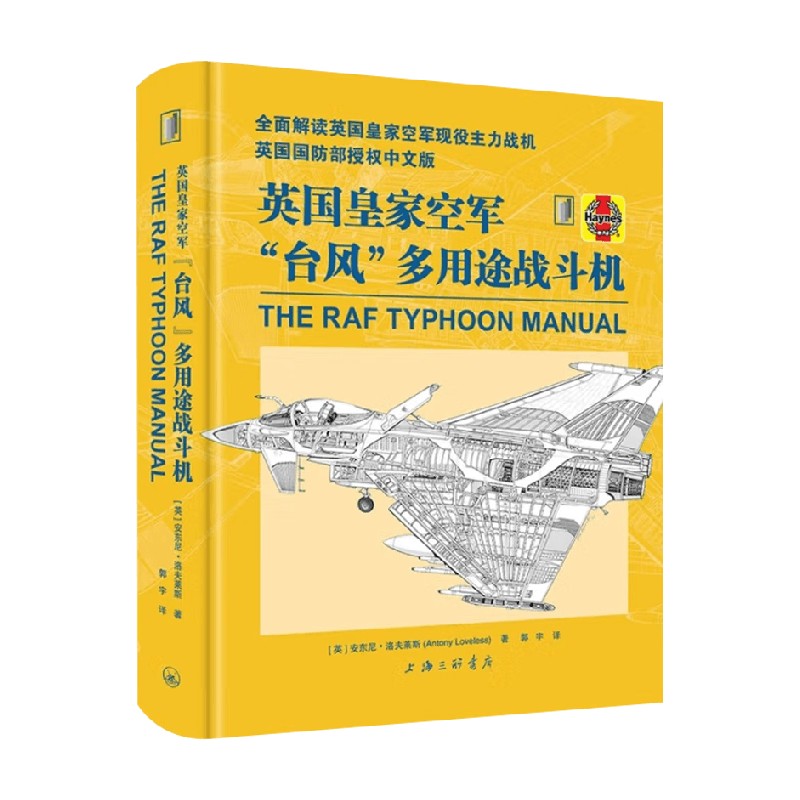 英国皇家空军 台风 多用途战斗机 安东尼·洛夫莱斯 著 政治