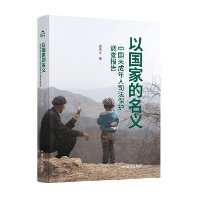 以国家的名义纪实文学