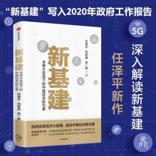 金融智库专家经济宏观分析数字经济5G时代中美关系经济危机 新基建 任泽平新作 中国经济新引擎 中信 全球大变局下
