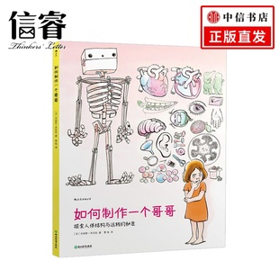 儿童插画儿童手工书 法国童书作家 工具书动手书籍 安纳斯·芙吉拉 如何制作一个哥哥