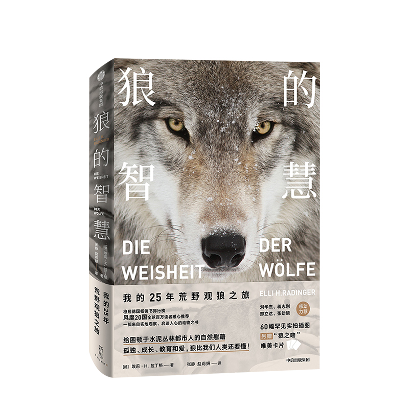 狼的智慧 埃莉H拉丁格 著动物智慧 进化论 狼性 适应力 竞争力 领导力 人性 狼的百科 狼的行为 中信出版社图书 正版