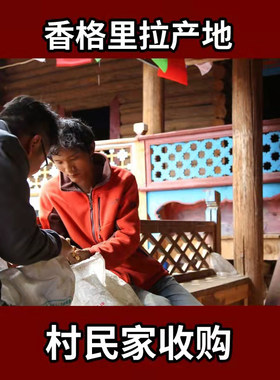 牛肝菌野生干货香格