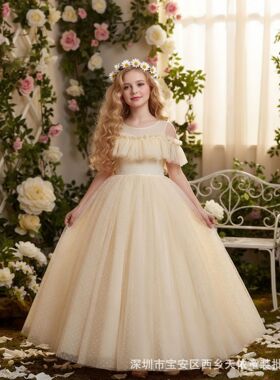 Party dress for children kids girls clothes Princess Dresses