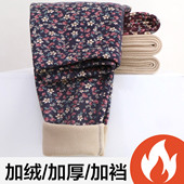 印花打底绒裤 内穿中老年加绒加厚高腰妈妈老太太大码 女冬季 保暖裤